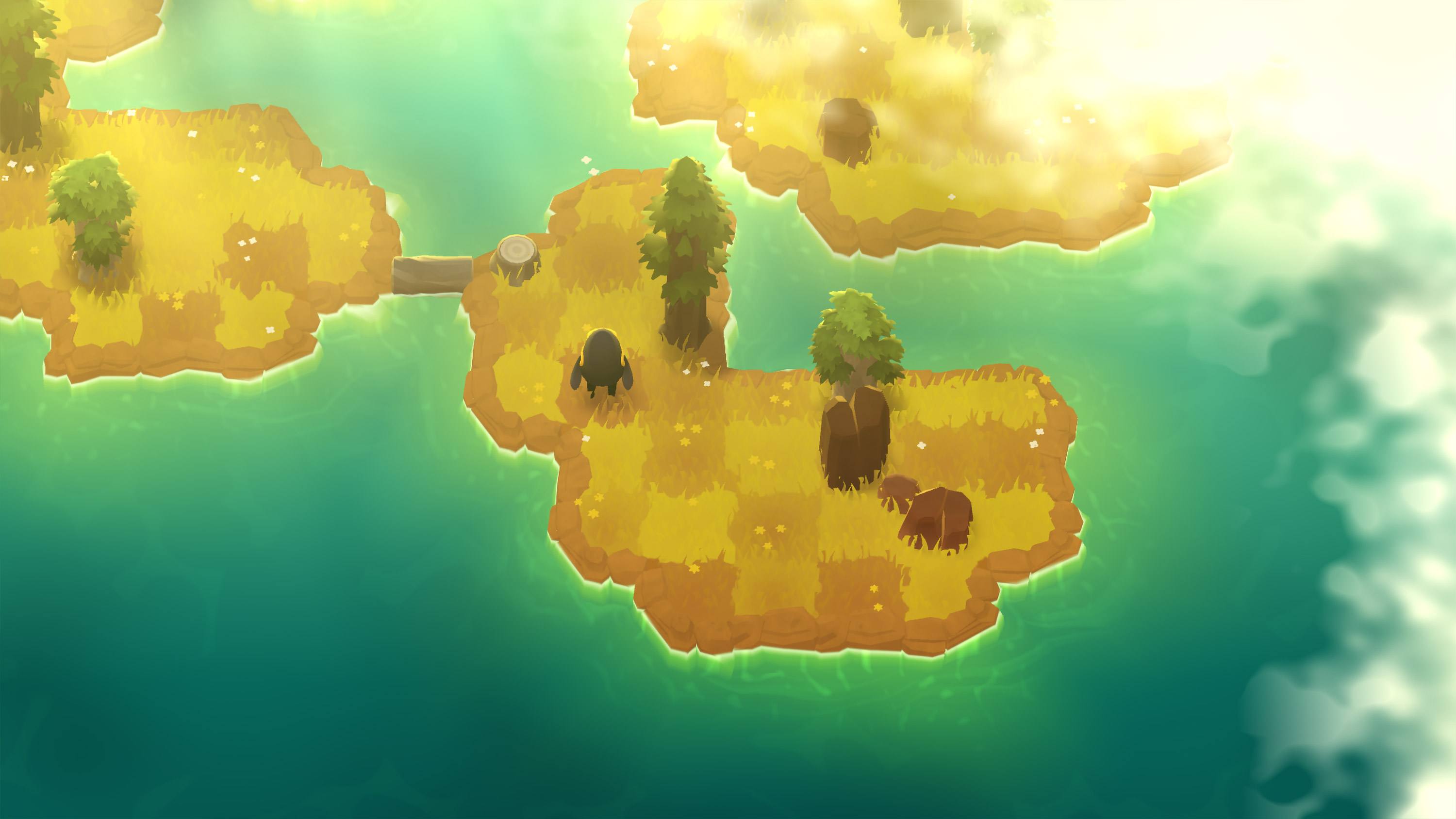 an image from A Monster's Expedition